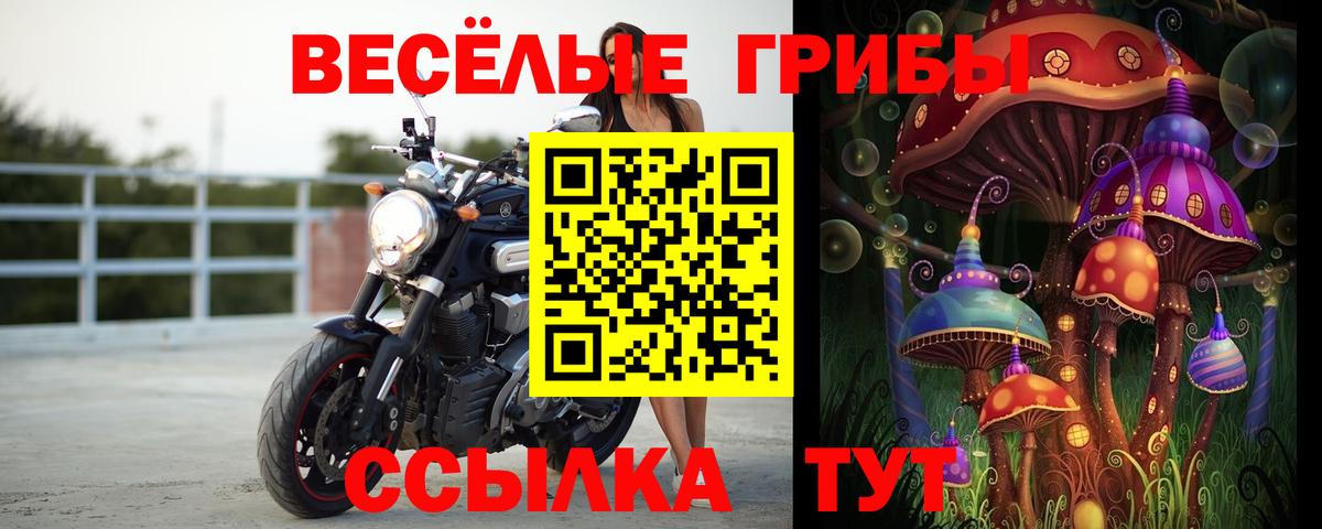 Галлюциногенные грибы Magic Shrooms  Галлюциногенные грибы Psilocybe  Хабаровск  Вход с VPN 